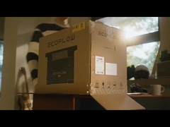 Estação de Energia Portátil Ecoflow Delta